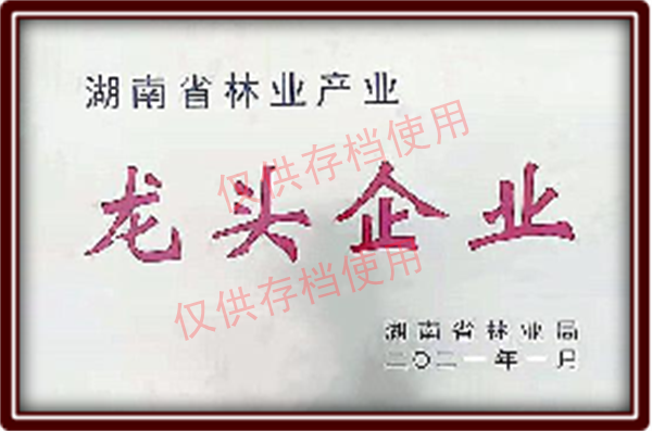 龍頭企業