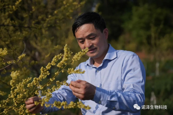 科創(chuàng)湖南之星|劉智謀：萃取中藥精華，反哺一方經(jīng)濟(jì)