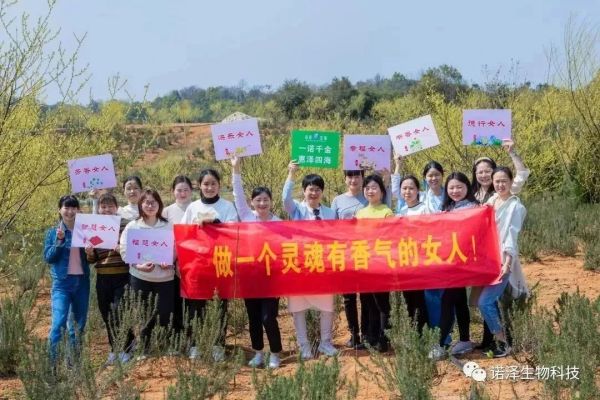 湖南諾澤生物科技有限公司,湖南健康植物提取物,保健品的原料有哪些,哪家公司的植物提取質(zhì)量更好